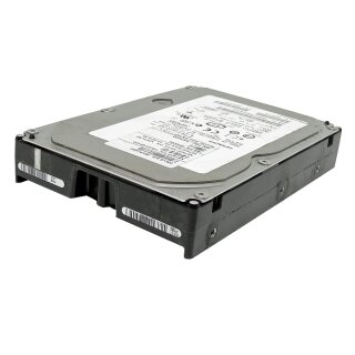 WD Wester Digital 3TB 3,5" 7,2k SATA HDD WD3000F9YZ Festplatte