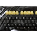 Cherry Devlin ARC Solutions wired Keyboard MX 3000 USB KSC-104-650-AR34-12 G80-3000LPCXY-2 black US QWERTY NEW