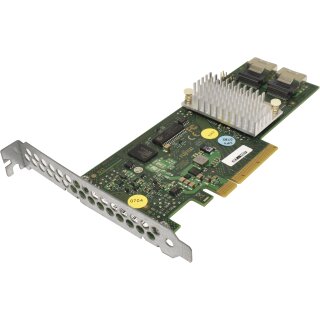 Fujitsu Primergy D2607-A21 GS1 Dual-Port 6Gb PCIe x8 SAS RAID Controller FP