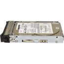 IBM 300GB HDD Festplatte 10K SAS 6G 00FX877 ST300MM0006 mit Rahmen